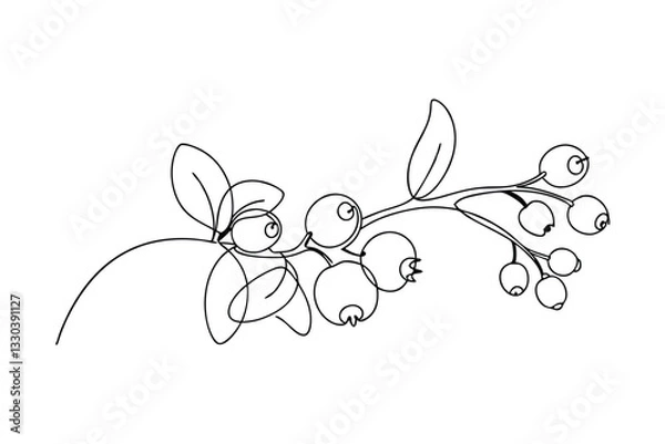 Fototapeta Single line drawing of blueberry branch with leaves and berries
