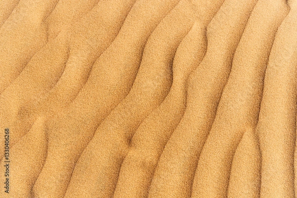 Fototapeta Close up view capturing wind shaping intricate patterns on sand dunes, revealing stunning natural textures under golden sunlight