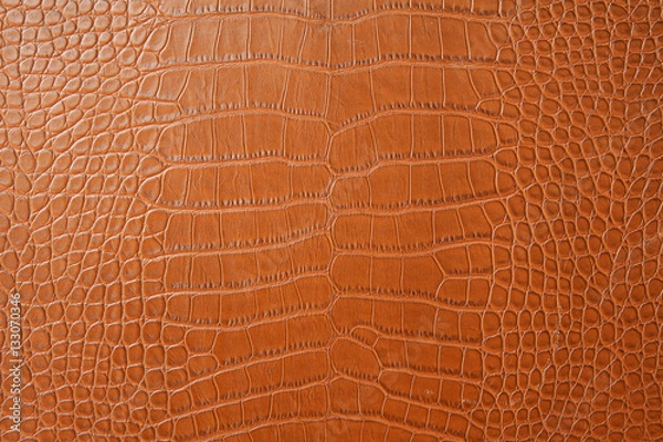 Obraz brown crocodile skin texture background, close up