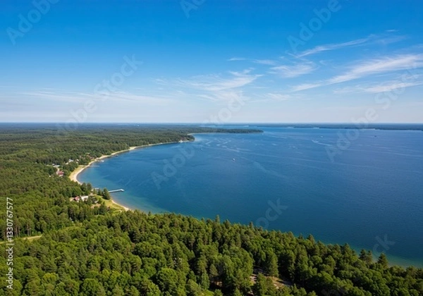 Fototapeta Serene aerial view of coastal forest and tranquil blue lake under clear sky