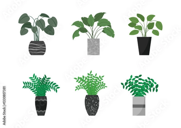 Fototapeta Set of plants for interior design and architecture projects.