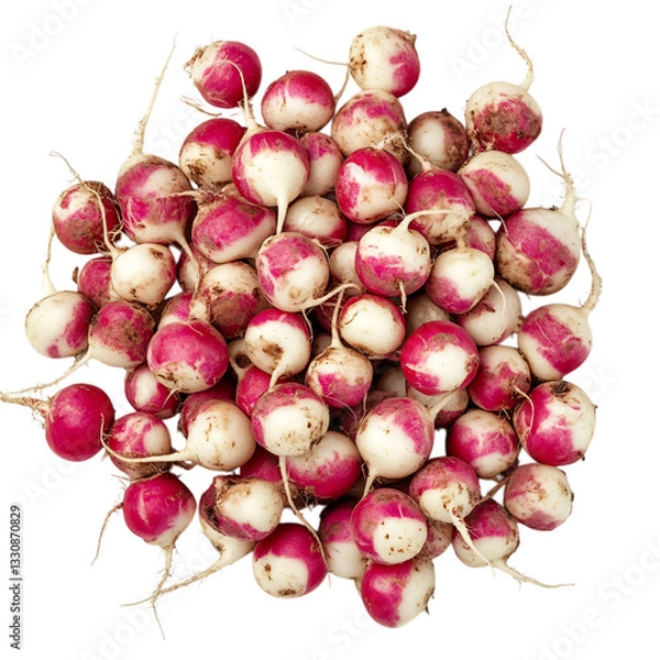 Fototapeta A Pile of Fresh Radishes with Small Round Bulbs Isolated on Transparent Background