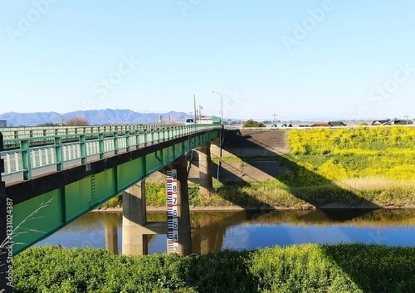 Fototapeta 春の河川　堤防に菜の花　橋　田舎の風景
