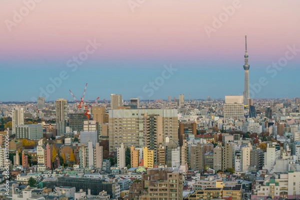 Obraz Downtown Tokyo skyline