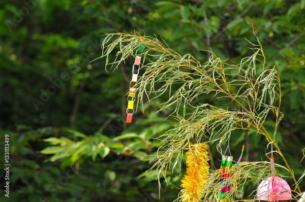 Fototapeta 七夕飾りの折り紙の輪飾りなどです。