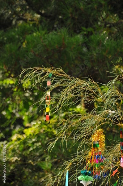 Fototapeta 七夕飾りの折り紙の輪飾りなどです。