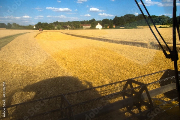 Obraz Moisson de blé