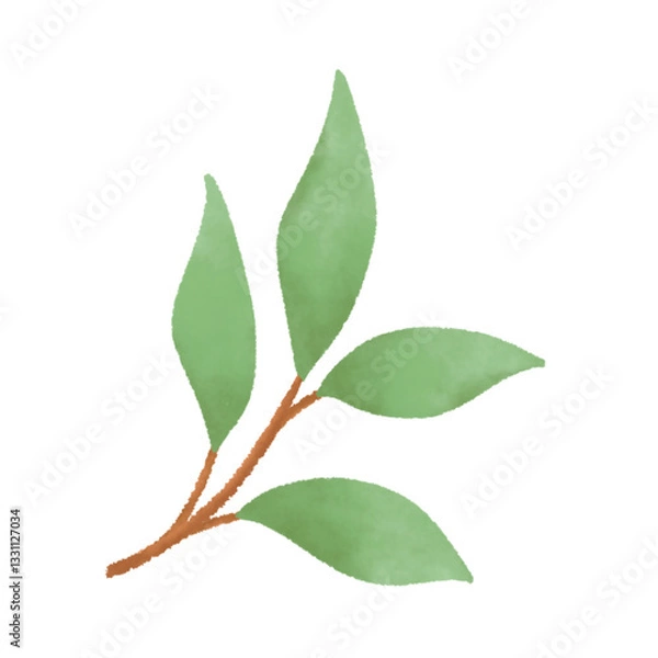 Obraz Leaf illustration