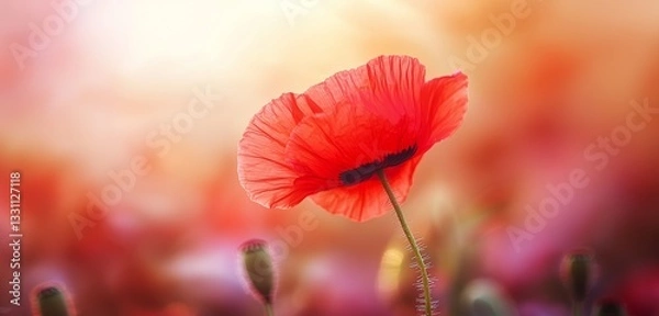 Obraz A single red hibiscus flower against a blurred tropical background of greenery. 