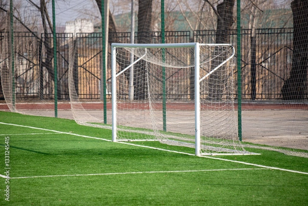 Fototapeta A soccer field with a white goal post and a net