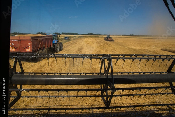 Obraz Moisson de blé