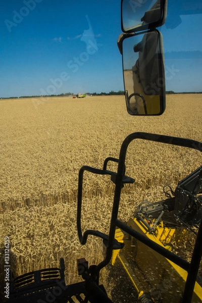 Obraz Moisson de blé