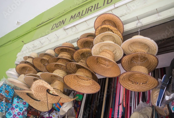 Obraz Hats of Thatch