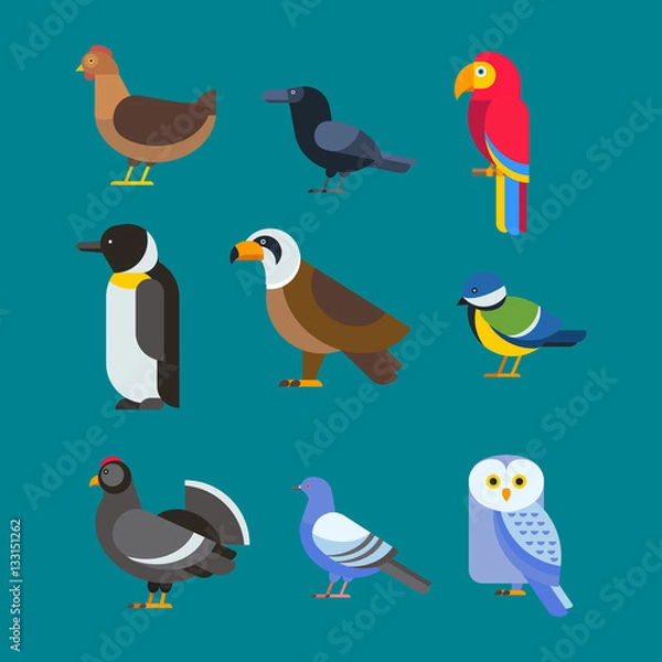 Obraz Birds vector set illustration isolated