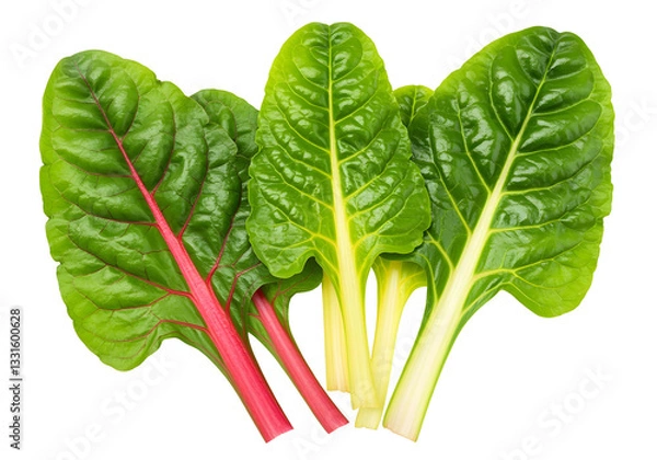 Obraz Swiss Chard Leaves on Transparent Background