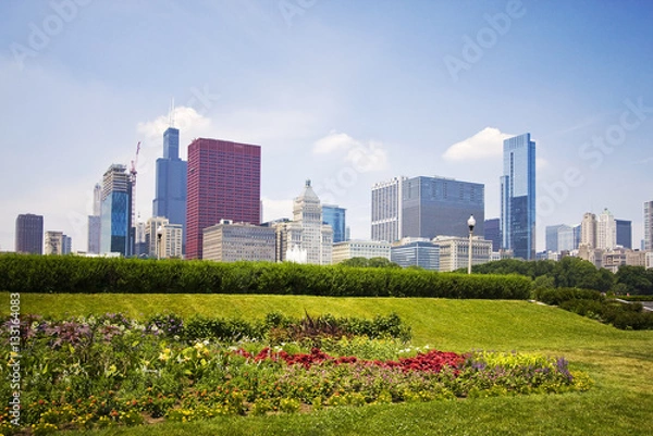 Fototapeta Chicago downtown skyline view with flowerbed in Grant Park on the foreground on a sunny summer day