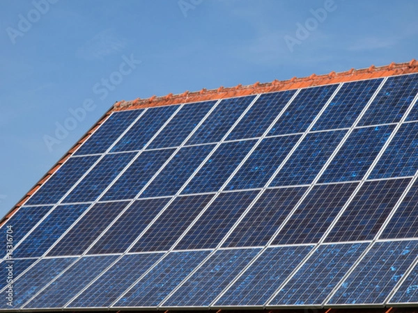 Obraz OLYMPUS DIGITAL CAMERA