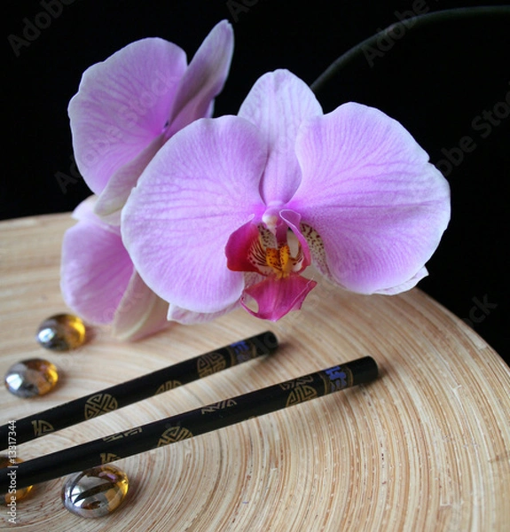 Obraz orchidee asia hoch