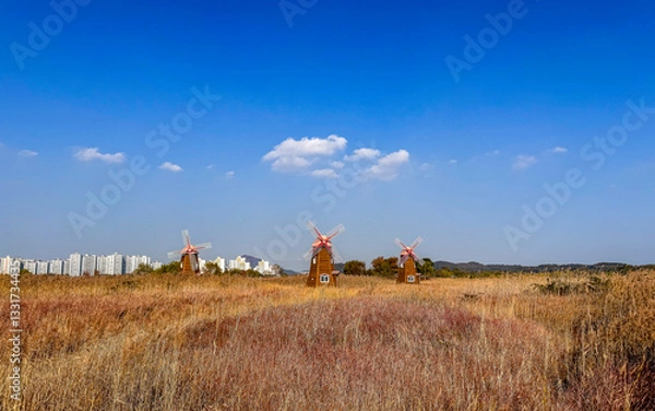 Obraz Traditional Windmills in a Golden Field Near the City