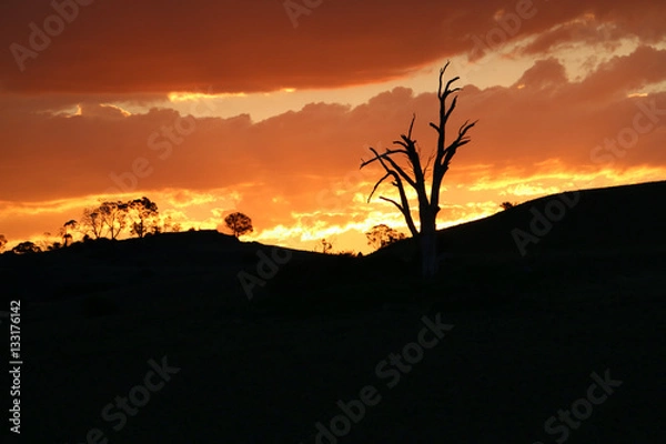 Obraz Further Sunsets