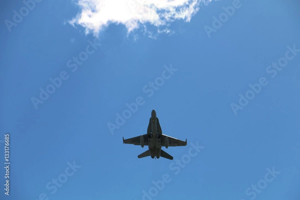 Obraz Blue Fighter Jet