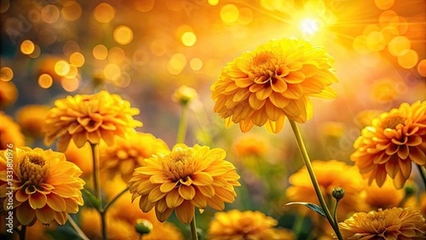 Fototapeta Bokeh Yellow Flower Background, Abstract Floral Photography, Soft Focus Flower Image, Blurred Yellow Flowers, Spring Blossom Backdrop