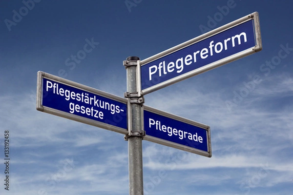 Obraz Przewodnik po reformie opieki, przepisach wzmacniających opiekę i poziomach opieki