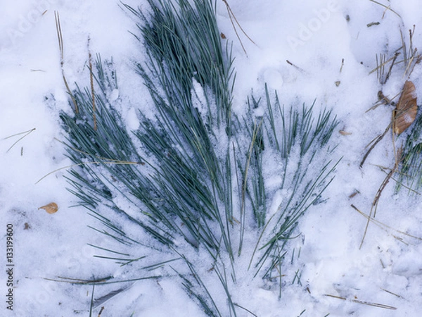 Obraz schnee und eis und winterliche texturen und hintergründe
