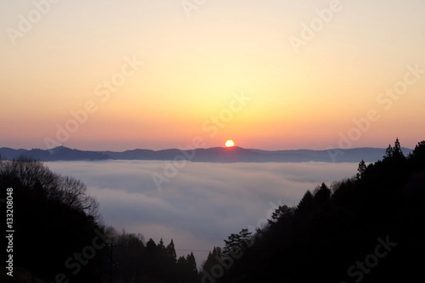 Fototapeta 雲海　朝焼け