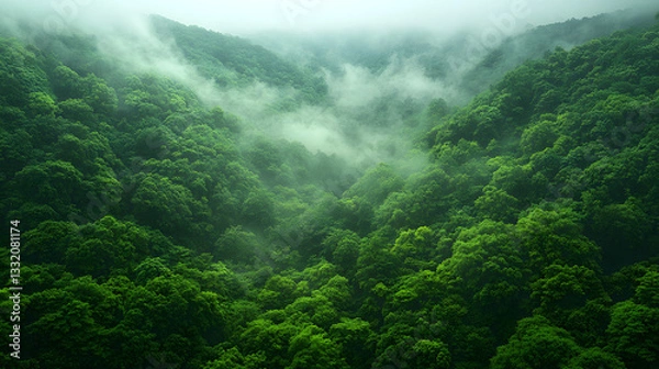 Fototapeta Emerald Canopy: An aerial view of a dense, vibrant green forest, shrouded in a mystical veil of mist, creating a sense of depth and the beauty of the natural world.