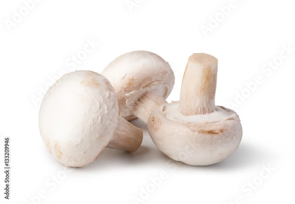 Fototapeta Champignon