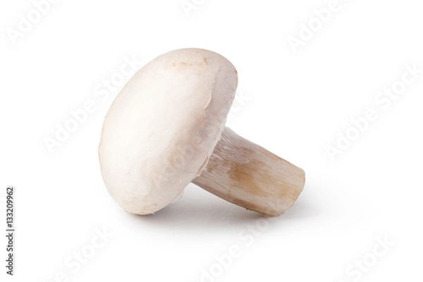 Fototapeta Champignon