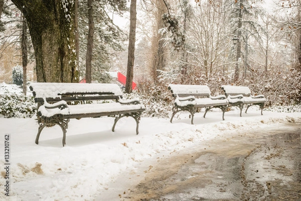 Obraz Park covered with snow