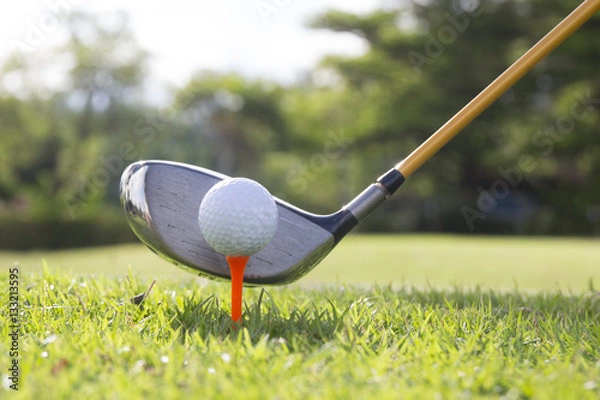 Obraz Golf ball and Driver