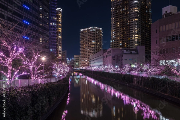 Obraz 目黒川のイルミネーションと都市夜景