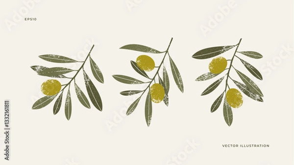 Fototapeta Olive branch collection. Set of olive leaves with berries. Vector illustration