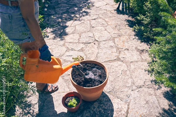 Obraz An unrecognizable woman is watering seedlings in a pot. Transplanting seedlings into a larger pot. With space to copy. High quality photo