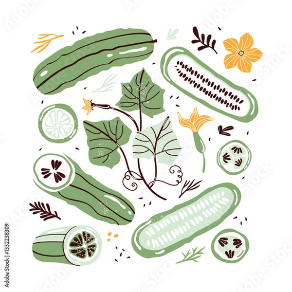 Fototapeta Hand drawn set colorful doodle vegetables in trendy organic style. Green cucumber, gherkin, cucumber flower, seeds, herbs. Vegetables cut in half, piece. Vegetarian healthy food. Farm products