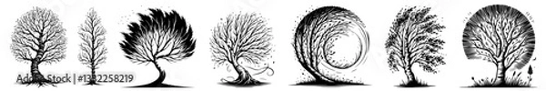 Fototapeta set of stylized artistic tree illustrations with abstract swirling and flowing branches