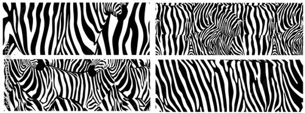 Fototapeta zebra skin seamless patterns vector black shape silhouette