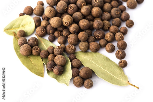 Obraz Allspice and Bay Laurel