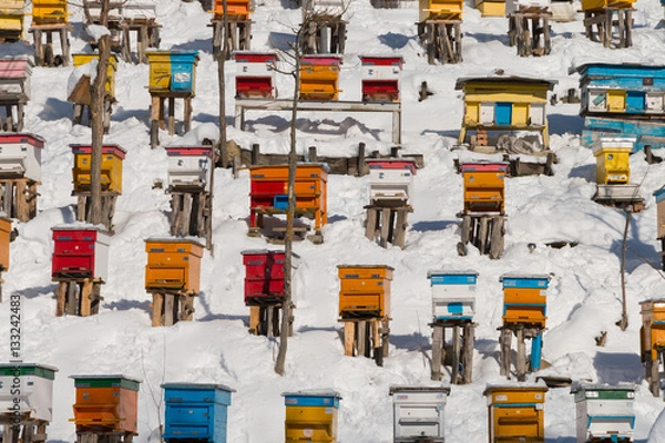 Fototapeta Beehives in the winter, covered with deep snow. Colorful background texture