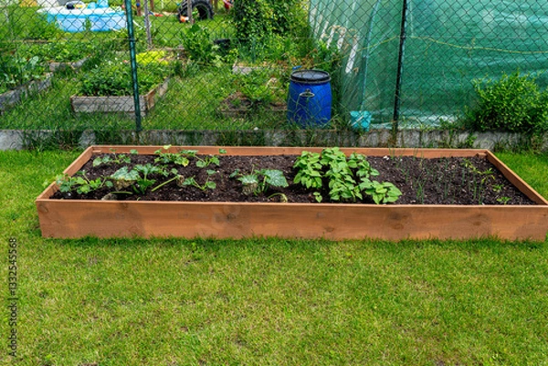 Obraz A wooden crate with various vegetables, standing on the grass in the garden.