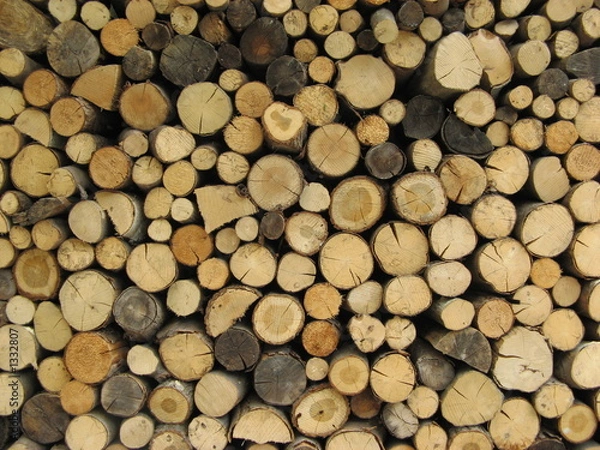 Fototapeta wood logs