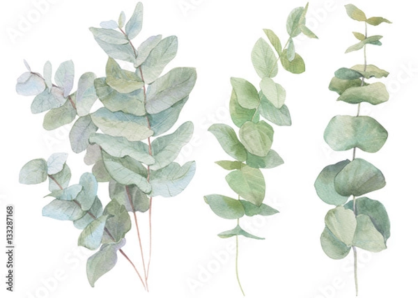 Fototapeta watercolor illustration leaves