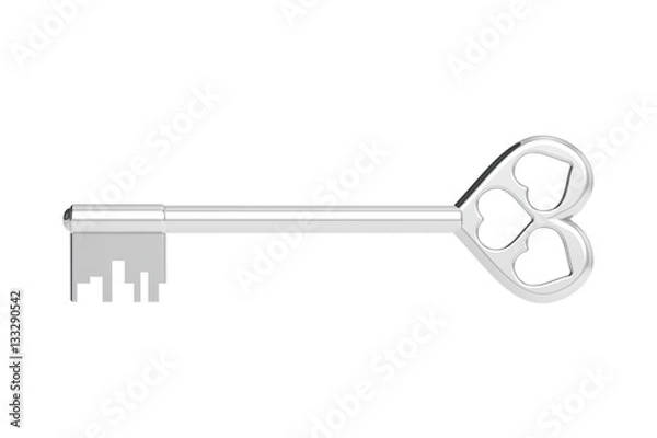 Obraz The 3D illustration a silver key.