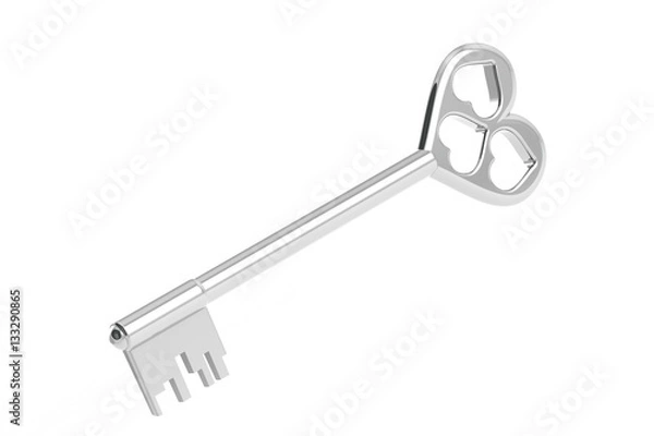 Obraz The 3D illustration a silver key.