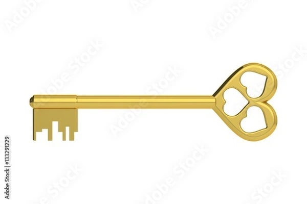 Obraz The 3D illustration a golden key.