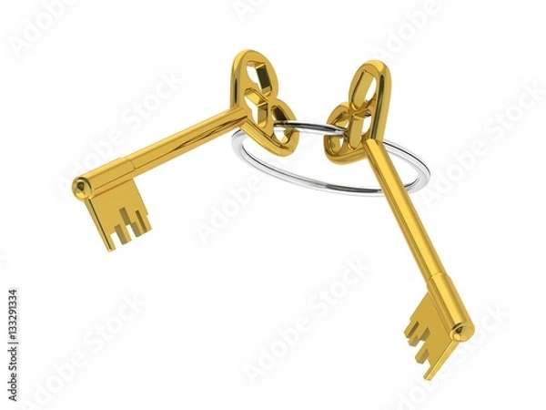 Obraz The 3D illustration a golden keys.