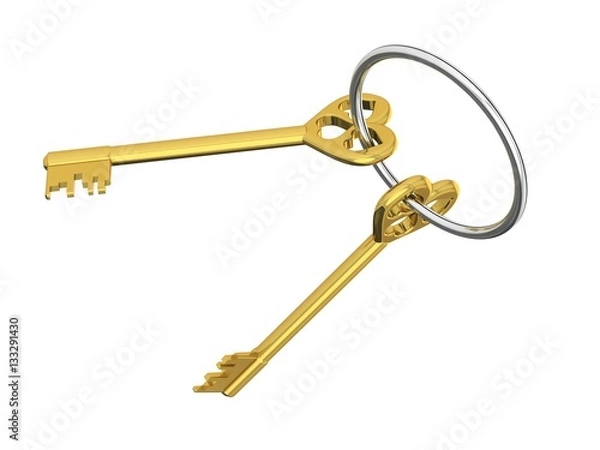 Obraz The 3D illustration a golden keys.